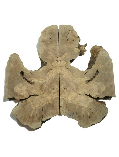Legno radica di ulivo - 2x,