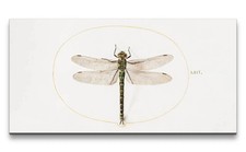 120x60cm Remaster Alte