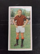 Figurine Calciatori Panini