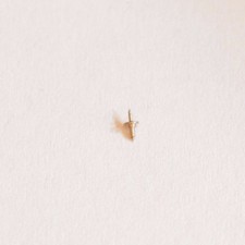 Asse bilanciere - Balance