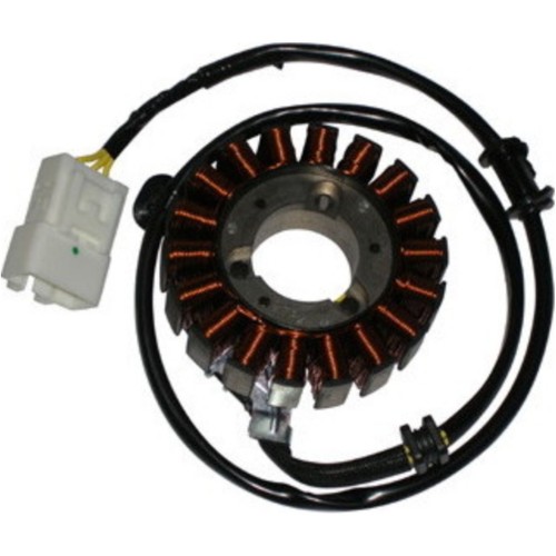 Statore elettrico sgr per - elettrico,