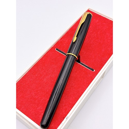 Penna stilografica parker - penna,