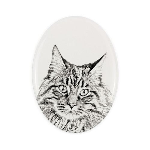 Maine coon lapide - maine, foto