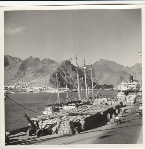 10242 foto vintage cruz - foto,