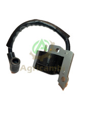 Bobina elettronica Motosega