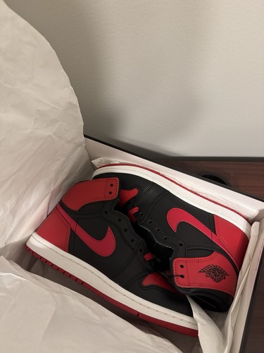 Jordan bred 2025 - jordan,