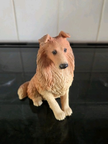 Castagna rough collie dog - castagna,