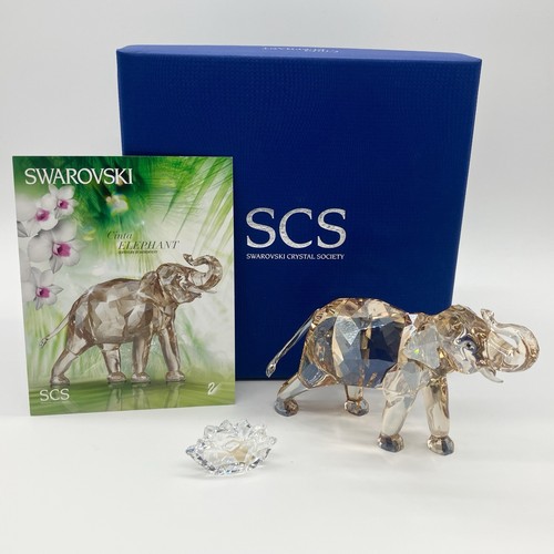 Swarovski scs cinta - swarovski,