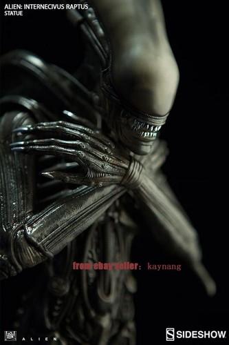 Sideshow collectibles 200464 - sideshow,