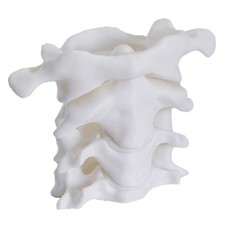 Portapenne per Spine In