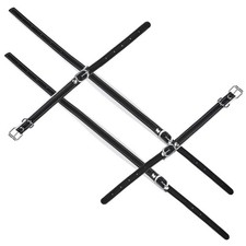  Cinghie Per Organetto Cinghia