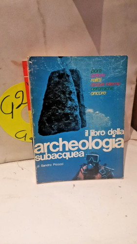 Sandro picozzi libro - picozzi-il,
