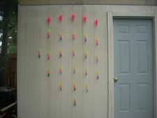 19 Calamari Arcobaleno 6"