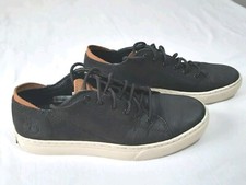 SCARPE DA GINNASTICA TIMBERLAND Re BOTL uomo EU 41.5