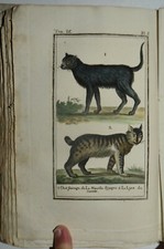 BUFFON - fig. 1792 - ANIMALI - TIGRI - GIAGUARO - CARACAL - 8 TAVOLE