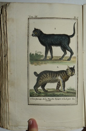 Buffon fig 1792 - buffon,