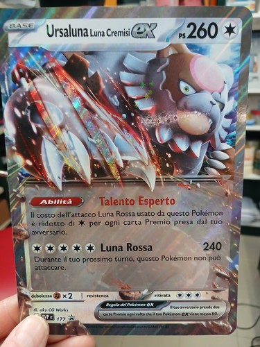 Carta gigante ursaluna - carta,