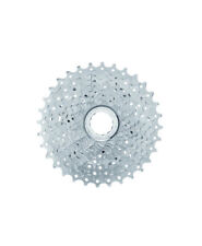 PACCO PIGNONI CAMPAGNOLO