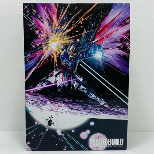 Metal build destiny gundam - destiny,