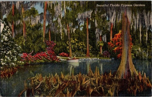 Cartolina epoca florida - cartolina, d'epoca
