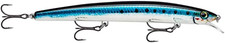 - Esca Da Pesca Artificiale