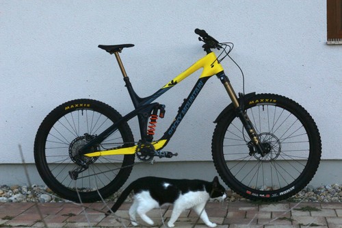 Rocky mountain slayer 27 5 - "l", 27,5
