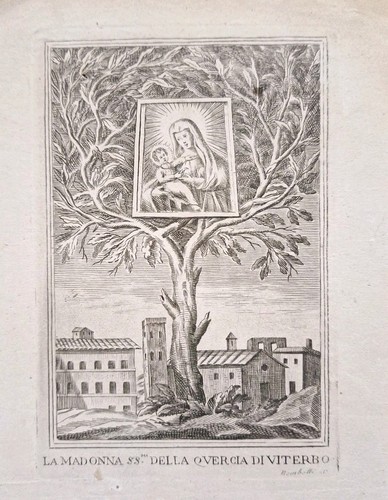 Madonna della quercia viterbo - quercia,