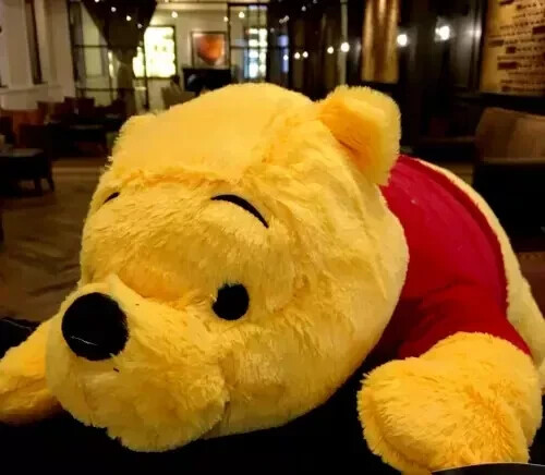 Disney large winnie the pooh - disney,