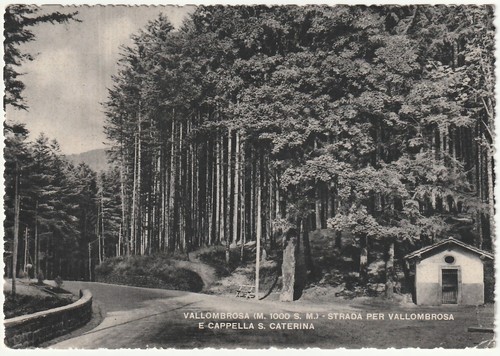 Vallombrosa firenze strada - -,