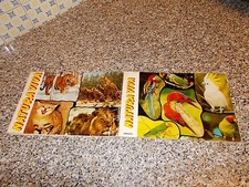 ALBUM NATURA VIVA ED.EDIBOY