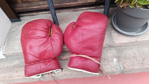 Guantoni boxe vintage anni - guantoni,