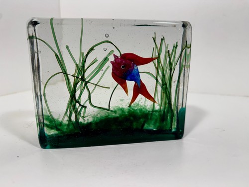 Blocco acquario vetro - , di