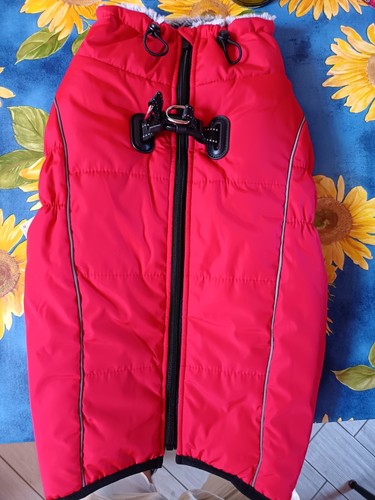 Cappotto cane invernale - cappotto,