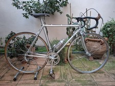 Alan Sprint Campagnolo 50th