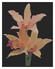 Schema Di Punto Croce Di