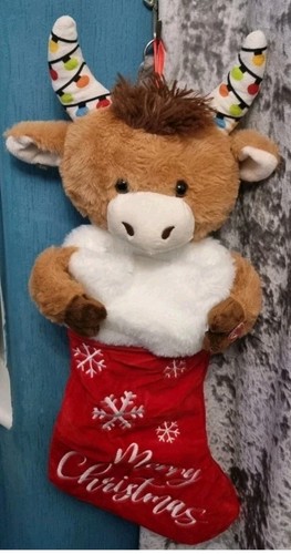 Mucca con corna sbattanti - mucca,