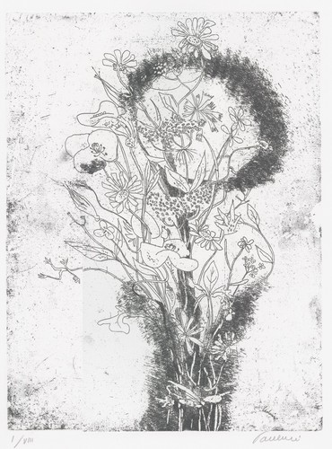 Paulucci enrico fiori - enrico, di