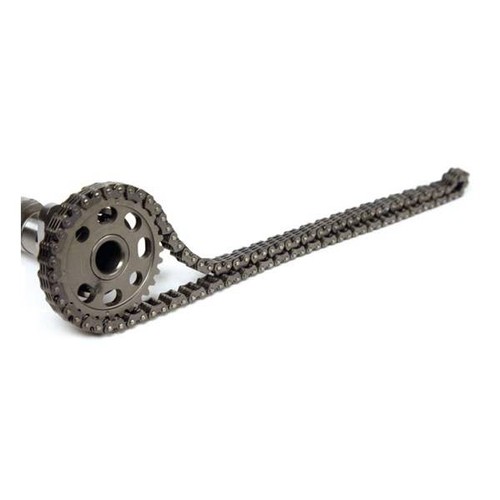 Catena distribuzione morse - catena,