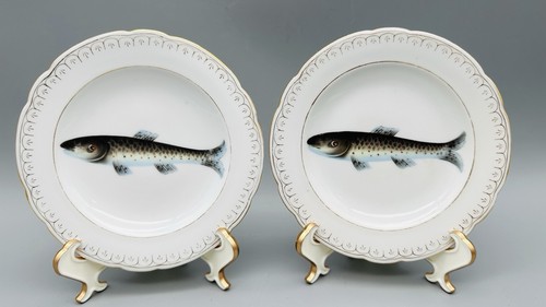 Piatti antichi pesce - cm, |