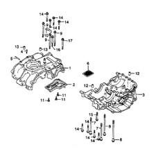 HONDA XR 250 R 1979-1983 Kit viti brugola inox carter motore n°2 XR250R XR250