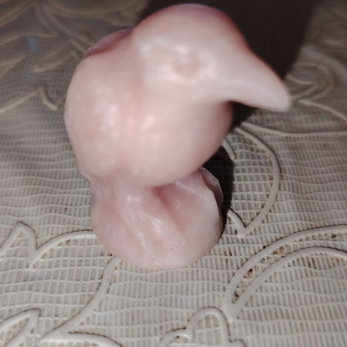Collezione animali pietra - in,