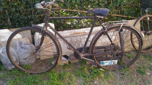 Bicicletta bici ciclo - bici, maino