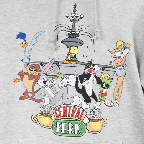Looney tunes friends - looney,