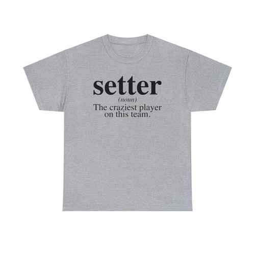 Setter definizione pallavolo - definizione,