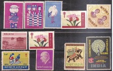 ERINNOFILIA - Lotto 11