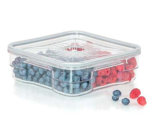 Status contenitore alimentare - status,