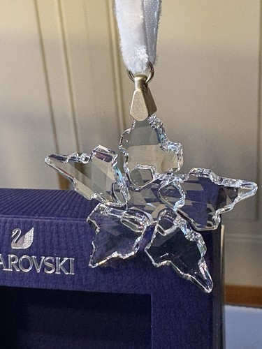 Cristallo swarovski 5574358 - cristallo,