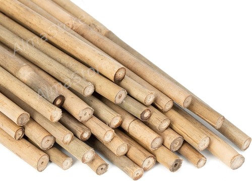 Canne bambu 210cm ø - h,