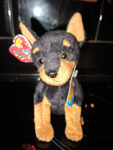 Trooper doberman pinscher - ty,