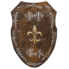 Scudo di ferro scudo del